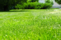 lawn-service-ocean-county